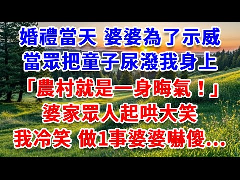 婚禮當天 婆婆為了示威，當眾把童子尿潑我身上：農村就是一身晦氣！婆家眾人起哄大笑，我冷笑，做1事婆婆嚇傻...#詩涵講故事#為人處世#生活經驗#情感故事#晚年哲理#說故事#完結文#原創故事