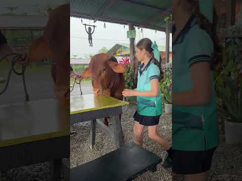 Has anyone been to this restaurant?