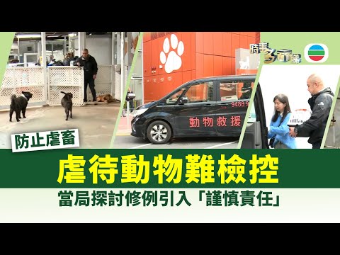 時事多面睇｜虐畜難檢控　當局探討修例引入「謹慎責任」｜2025年12月22日｜TVB New