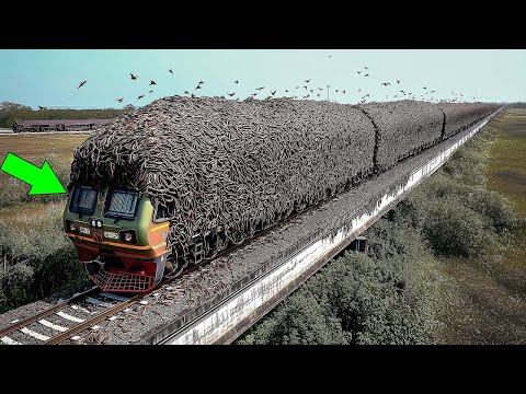 Incredible Moments Caught on Camera | Best of 2025 #97