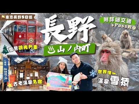 Stunning winter Spot in Nagano❄️Snow Money Park🐒 & sightseeing train🚃! Famous Shibu Onsen Hotels !♨️