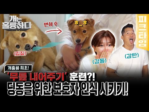 [#피크타임] 구조견의 가장 큰 난관! 목줄 경계심 줄이기, 보호자로 인식 받기 훈련 | #개는훌륭하다 | KBS 220829 방송