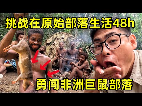 挑战在非洲原始部落生活48小时 ，探访非洲硬核矮人族，居然靠吃巨鼠为生