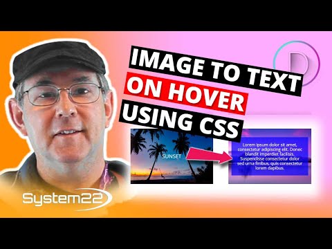 Divi Theme Image To Text On Hover Using CSS 👍👍👍
