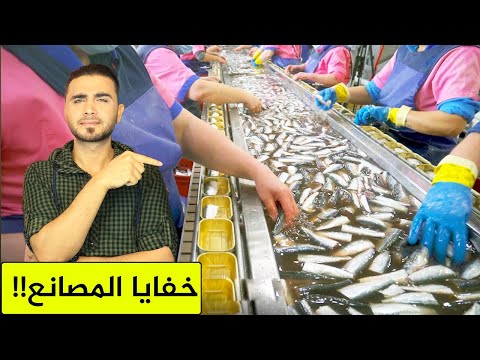 المصانع تكشف حقيقة السردين المعلب😱هل مفيد أم مضر!؟