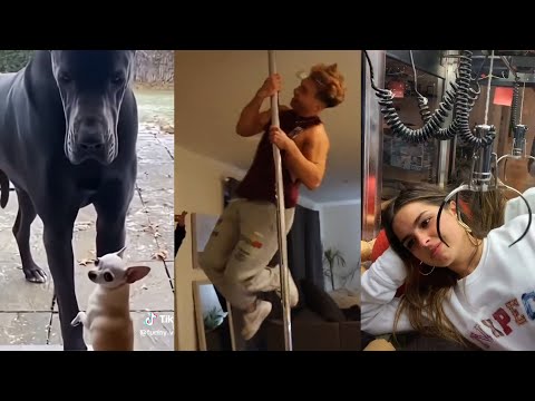 Random videos I watch at 2 a.m. #6