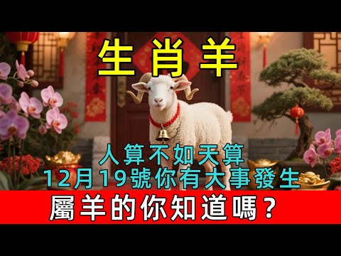 人算不如天算！生肖羊，明天12月19號你有大事發生！屬羊的你知道嗎？#生肖 #運勢 #命理 #屬相 #風水 #財運 #佛陀 #佛學 #佛法 #佛教 #修行 #智慧 #因果 #佛家