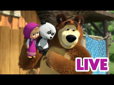 מאשה והדוב 👱♀️🐻 ביחד אנו נהנים יותר! 🐼☺️ סרטים לילדים 🔴 LIVE ⭐️