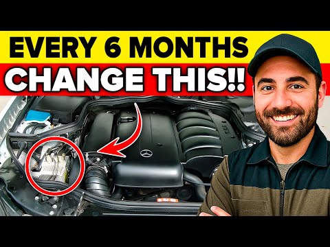 Most Cars Die Early - These Habits Got Mine to 800,000 miles