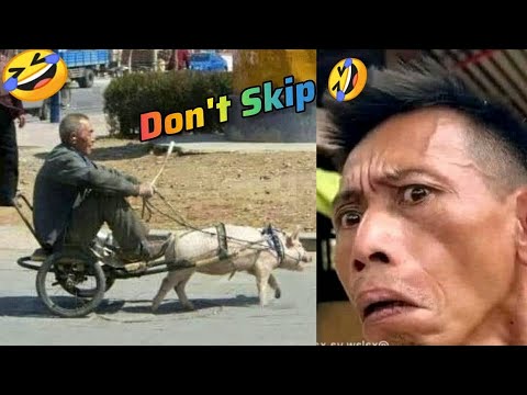 You Will Laugh Till You Wet Pants//Try Not To Laugh Impossible