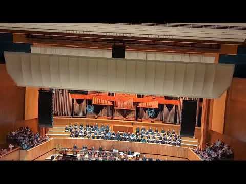 BG3 Concert Finale into Raphael's Final Act