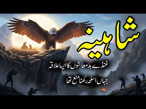 Shaheena | Mohiuddin Nawab Ki Shahkaar Kahani | Urdu Digest Story