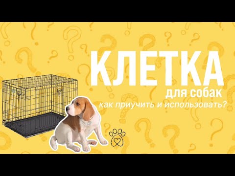 КЛЕТКА ДЛЯ СОБАК: как приучить и использовать?