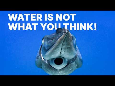 Water: the Strangest Liquid