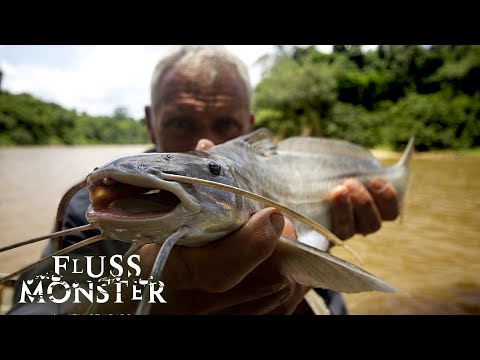 Jeremy Wade vs. der rote Piranha | Fluss Monster Staffel 5 Folge 6