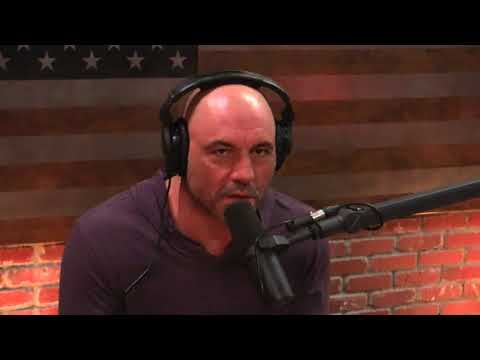 Joe Rogan & Neal Brennan on Micro-dosing Mushrooms