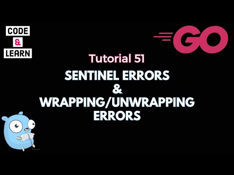 Sentinel Errors and Error Wrapping/Unwrapping in Go with Code Examples