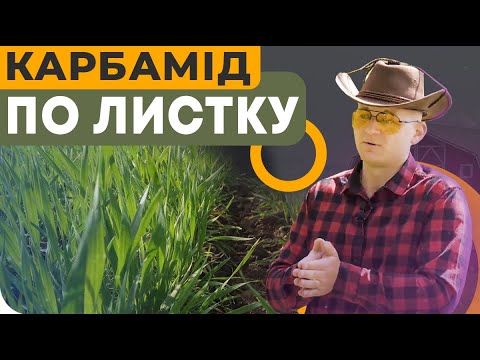 КАРБАМІД ПО ЛИСТУ ДОКОМПЕНСУЄ АЗОТ🤔?