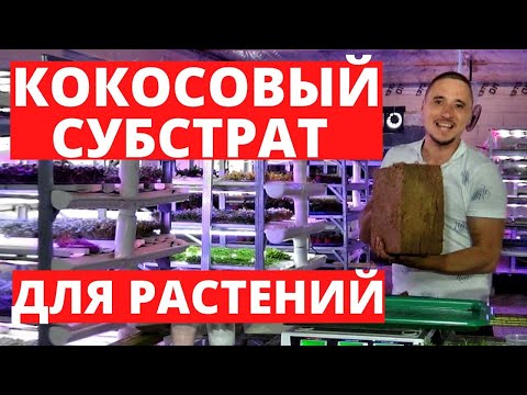 Coconut substrate for plants Microgreens Seedlings Buffering how to soak