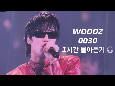 WOODZ(우즈) PREVIEW CONCERT : index_00 / 0030 1시간 몰아듣기 🎧 #우즈 #조승연 #0030