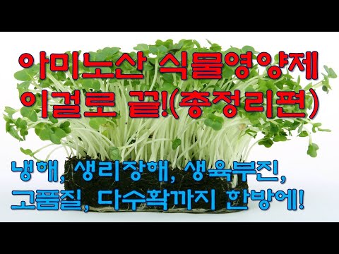 아미노산 식물영양제 총정리편- 흩어져 있던 아미노산 액비에 대한 기술적인 내용들을 1시간짜리 영상으로 모았습니다. 여유있게 반복해서 보세요..