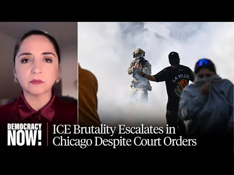 “We Are Under Attack”: Rep. Delia Ramirez on Immigration Crackdown in Chicago, Gov’t Shutdown & More