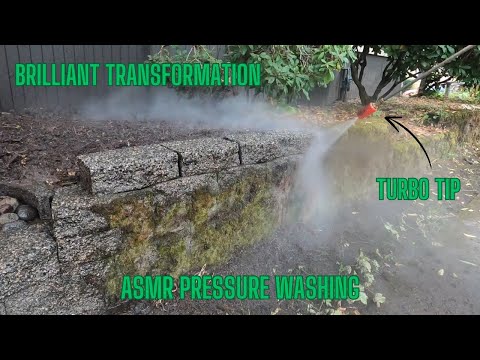 Large Mossy Wall Made New Again (ASMR). #asmr, #pressurewashing, #satisfying, #asmrcleaning,