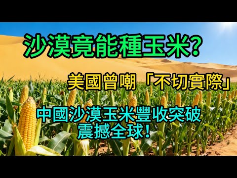 沙漠竟能種玉米？美國曾嘲「不切實際」，中國沙漠玉米豐收突破，震撼全球！
