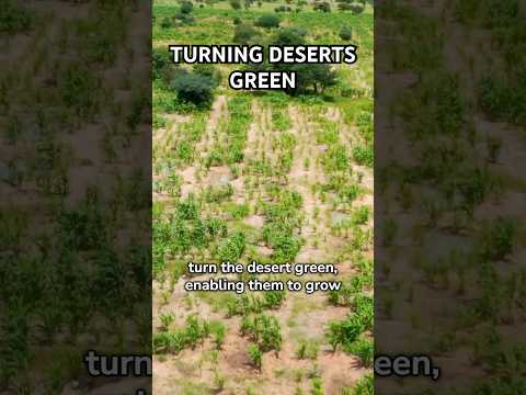 Turning Deserts Green