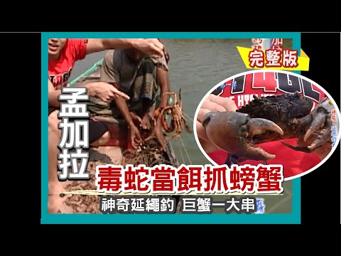 【孟加拉】毒蛇當餌 捕紅樹林大螃蟹  特有延繩釣 螃蟹一大串(賣命鐵道市場/牛市場趕集/牛屎棒棒發大財/高速咖啡)｜《世界第一等》367集完整版 唐振剛 SD