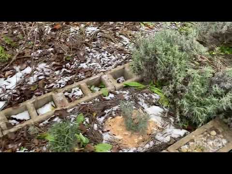 20.12.25. Waiting for winter again and heating the street))