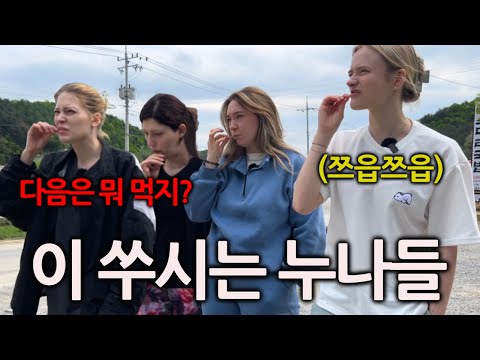 심하게(?) 한국화된 독일여자들의 우당탕탕 한국여행(도른투어 몰아보기)