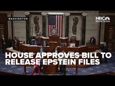 House approves bill to release Epstein files, heads to Senate for review