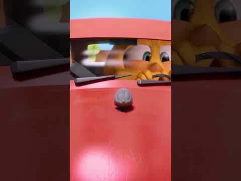 Chicky the driver #chicky | Chicky Cartoon in English for kids