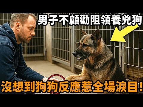 A man ignored everyone's opposition and insisted on adopting a dog from the shelter that was labele