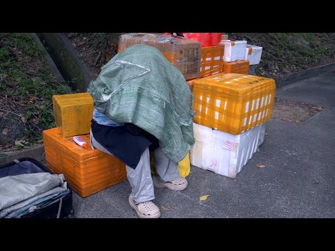 東張西望｜揭破水貨客內地偷運海鮮「直接入關」秘密 追蹤黑心食物全面滲入香港社區｜黑心食物｜內地偷運海鮮｜活沙蟲｜珍珠蠔仔肉｜福田口岸｜黎寬怡