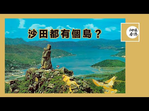 沙田都有一個島！？島上仲有間客棧，同埋沙田第一間警署！#細味香港 #昔日沙田