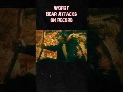 They Never Stood a Chance Against The Bears