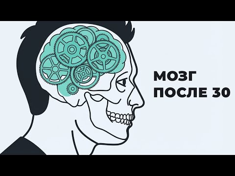 Тебе за 30 и ты тупеешь? Нет. Вот что происходит на самом деле