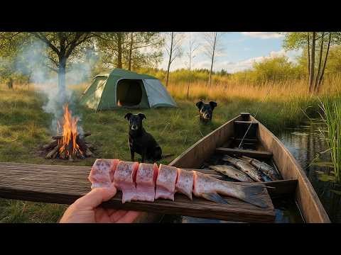 Fishing Camping on an Island with Just My Dog and Gear