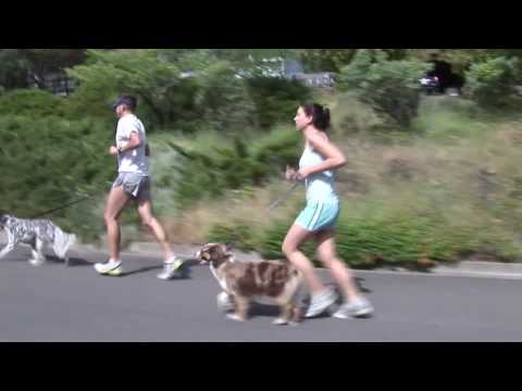 Unbreakable Bonus Features Youtube Preview Hal Koerner Part 07 On Run in Ashland