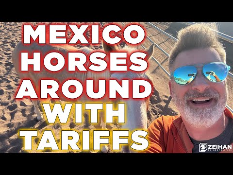 Mexico Horses Around with Tariffs || Peter Zeihan