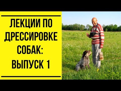 Лекции по дрессировке собак. Выпуск 1