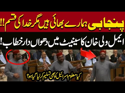 ANP Chief Aimal Wali Khan’s Explosive Senate Speech | Criticism on Punjab & SIFC