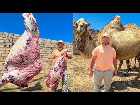 Cutting A Whole 700kg Camel! The Biggest Dish in the World
