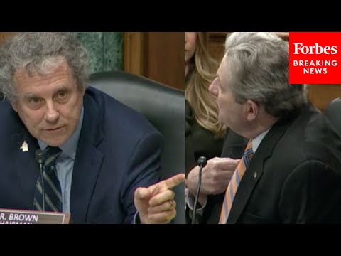 'Well That's Your Opinion!': John Kennedy, Sherrod Brown Clash During Questioning Of Saule Omarova