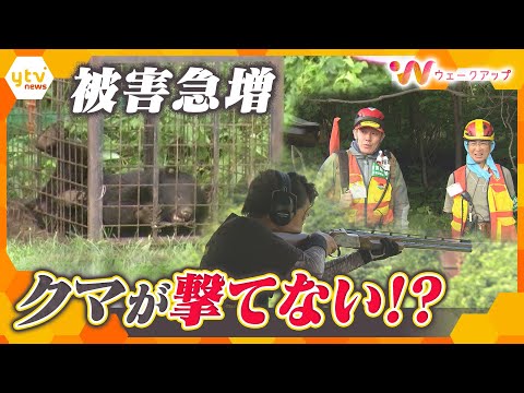 【クマ被害】秋から被害が増加…駆除の現実・苦悩するハンター　クマを撃つ”法律も変わる中で後継者不足が懸念　「保護」と「駆除」の間でのジレンマ【ウェークアップ】