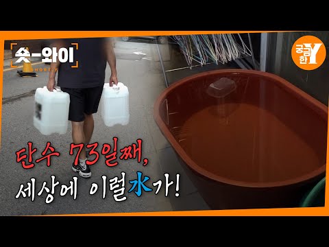 [Y 702회 요약] ⚡단전·단수💧 빌라가 지옥이 된 이유 | 숏와이