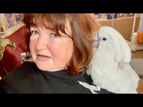 У меня ПОЛНЫЙ ШОК! Кеша залез мне на голову и решил сделать прическу, что от него ждать не знаю!!!