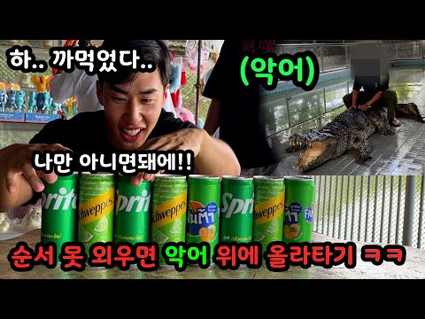 태국 파타야 여행중 시작된 리얼 야생 복불복게임 ㅋㅋㅋㅋ악어 우리에 들어가서 올라 타고오기 ㅋㅋㅋ